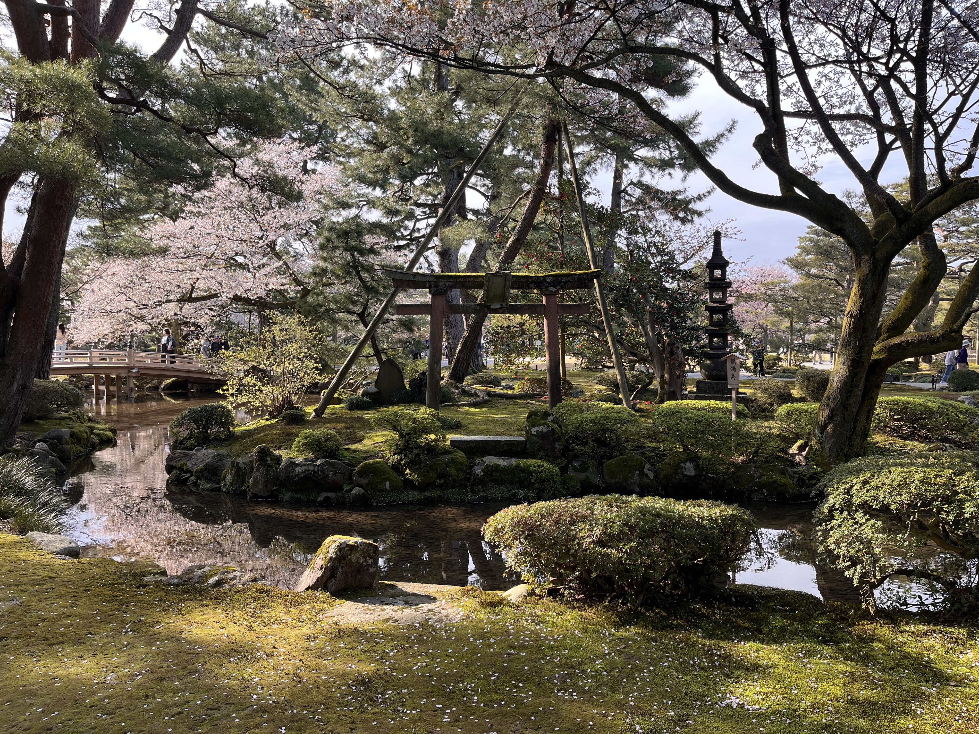 A torii gate in the Kenroku-en garden